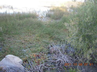 73 7q8. Big Bear (L35) run