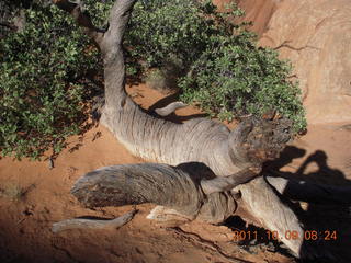 50 7q9. Arches National Park - Devil's Garden hike