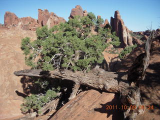 54 7q9. Arches National Park - Devil's Garden hike
