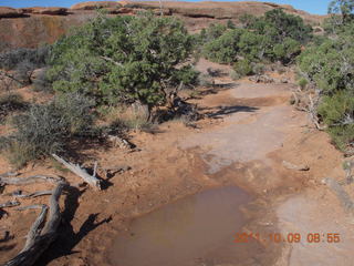 59 7q9. Arches National Park - Devil's Garden hike