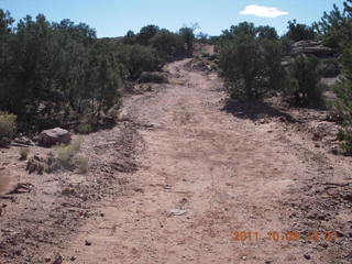 79 7q9. Dead Horse Point hike