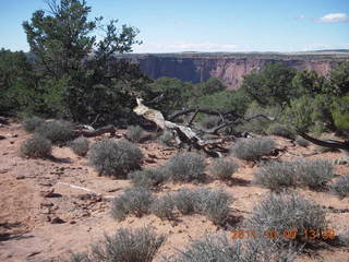 83 7q9. Dead Horse Point hike