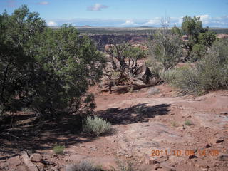 85 7q9. Dead Horse Point hike