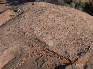 150 7q9. Dead Horse Point hike - bumpy rock