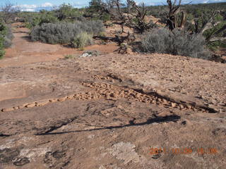 151 7q9. Dead Horse Point hike - bumpy rock