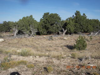 33 7qa. Cedar Mountain airstrip run
