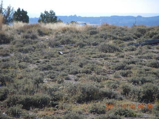 43 7qa. Cedar Mountain airstrip run