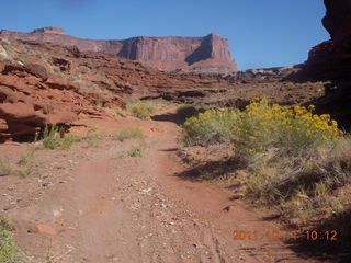 89 7qb. Canyonlands National Park - Lathrop trail hike