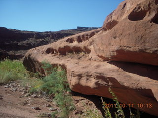 91 7qb. Canyonlands National Park - Lathrop trail hike