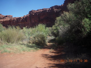 95 7qb. Canyonlands National Park - Lathrop trail hike - Colorado River area