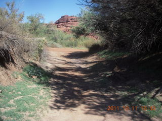 101 7qb. Canyonlands National Park - Lathrop trail hike - Colorado River area