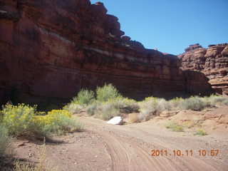 112 7qb. Canyonlands National Park - Lathrop trail hike