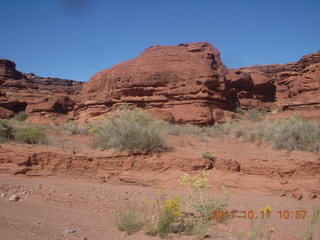 113 7qb. Canyonlands National Park - Lathrop trail hike