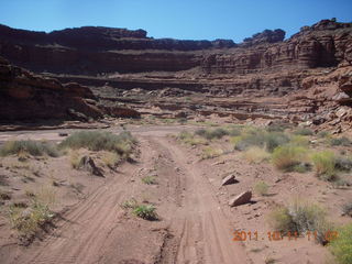 121 7qb. Canyonlands National Park - Lathrop trail hike