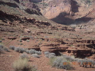 163 7qb. Canyonlands National Park - Lathrop trail hike
