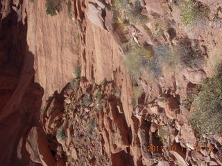 181 7qb. Canyonlands National Park - Lathrop trail hike