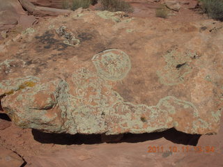 190 7qb. Canyonlands National Park - Lathrop trail hike - lichens on rock