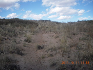 215 7qb. Canyonlands National Park - Lathrop trail hike