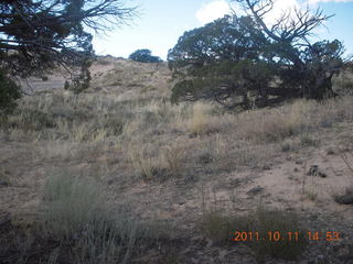 216 7qb. Canyonlands National Park - Lathrop trail hike