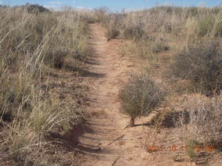 220 7qb. Canyonlands National Park - Lathrop trail hike