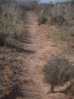 221 7qb. Canyonlands National Park - Lathrop trail hike