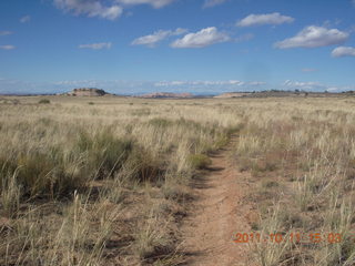 223 7qb. Canyonlands National Park - Lathrop trail hike