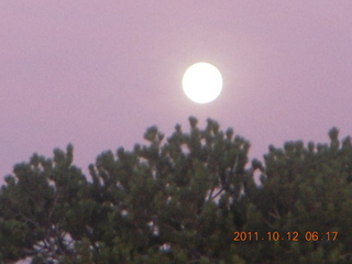 7 7qc. Dead Horse Point hike - full moon over trees