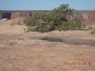81 7qc. Dead Horse Point hike - Rim View