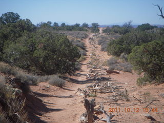 94 7qc. Canyonlands National Park - Murphy run