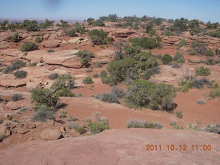 98 7qc. Canyonlands National Park - Murphy run
