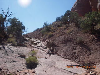 126 7qc. Canyonlands National Park - Alcove Springs