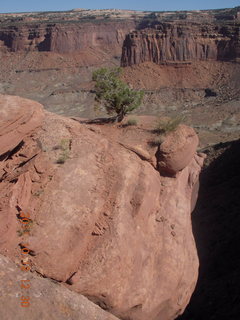 139 7qc. Canyonlands National Park - Alcove Springs