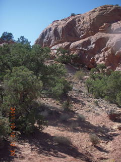 145 7qc. Canyonlands National Park - Alcove Springs