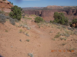 151 7qc. Canyonlands National Park - Alcove Springs