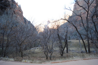 117 7sf. Zion National Park