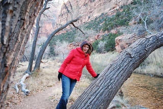 137 7sf. Zion National Park - Virgin River - Olga