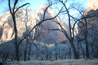152 7sf. Zion National Park