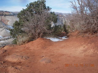 216 7sf. Zion National Park - Observation Point hike - summit