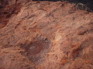 238 7sf. Zion National Park - Observation Point hike - frozen water/ice in small pothole