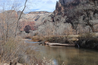 261 7sf. Zion National Park - Virgin River