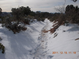 264 7sf. Zion National Park - Observation Point hike - snowy trail