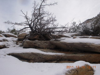 369 7sf. Zion National Park - Observation Point hike
