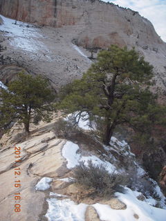 489 7sf. Zion National Park - Angels Landing hike - summit