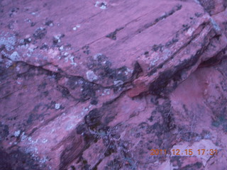 508 7sf. Zion National Park - Angels Landing hike - lichens on rock at dusk