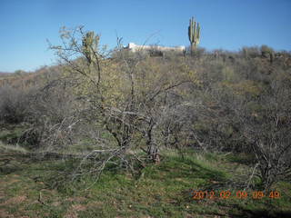 Bouquet Ranch - mall, Butcher Hook