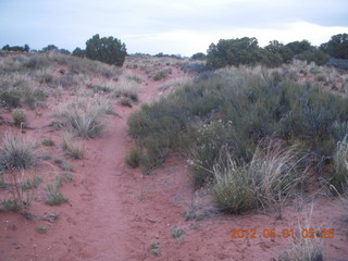 14 7x1. Canyonlands Murphy hike