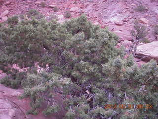 40 7x1. Canyonlands Murphy hike