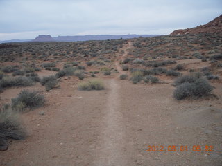 47 7x1. Canyonlands Murphy hike