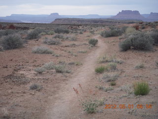51 7x1. Canyonlands Murphy hike