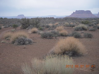 74 7x1. Canyonlands Murphy hike